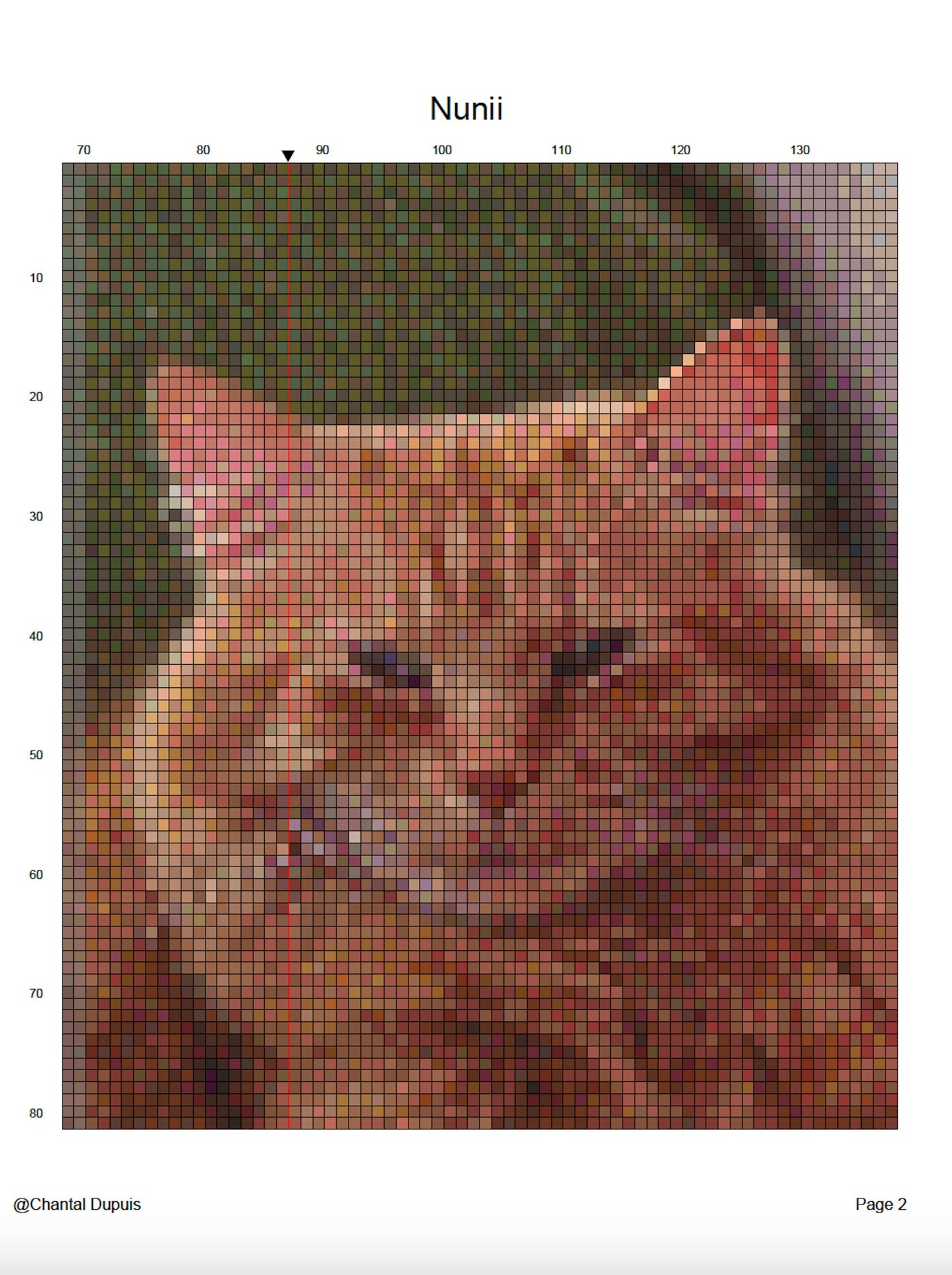 Level 3 - Custom Photo Conversion into Cross Stitch Pattern - Complex conversion with major changes - Digital Download - Personalized gift